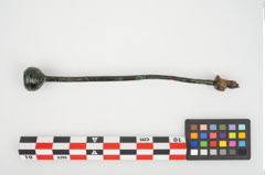 Foto von Bronzerippenkugelkopfnadel (NHMW-PRAE-026126)